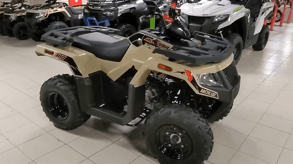 Top 5 Best Low-Cost ATVs