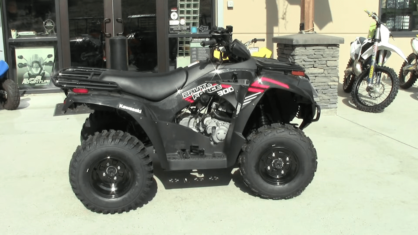 Kawasaki Brute Force 300